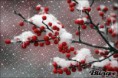 /album/fenykepgaleria/images-jpg/