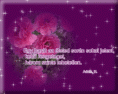 /album/idezetek-/a91411-gif/
