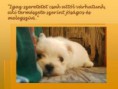 /album/idezetek-/idezetes-kep4-jpg/